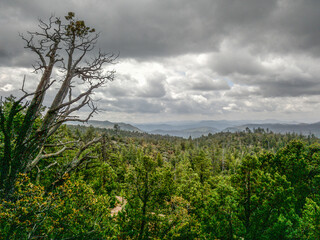 Payson, Arizona Mogollon Rim