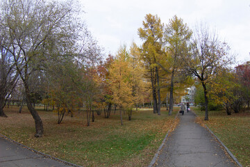 path in park