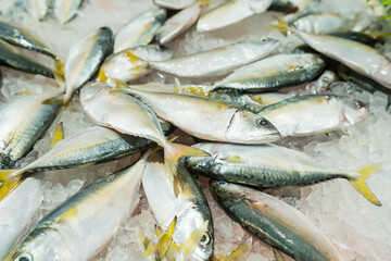 Fresh fish on ice display in a supermarket.