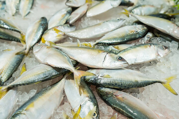 Obraz premium Fresh fish on ice display in a supermarket.