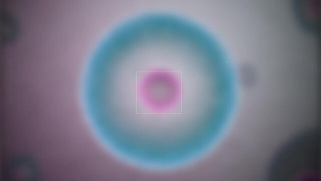 3d animated video of cell dividing