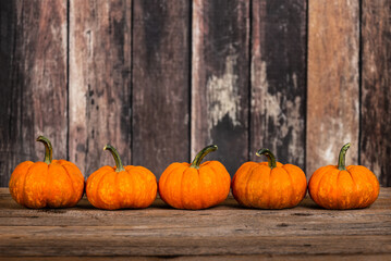 Mini pumpkins in a row against rustic wooden background, copy space.