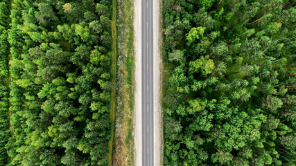 empty road in the middle of a dense forest.  drone shooting