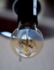 Light bulb of electricity.