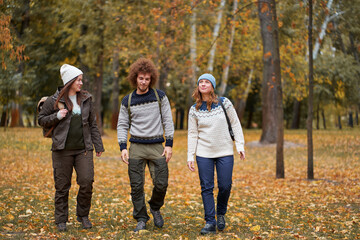 Holidays with friends. Group of young people walking together in the park.