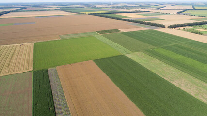Aerial view of fields with various types of agriculture.