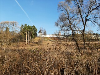 trees in a field and a monastery
