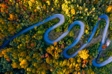 Country road at autumn