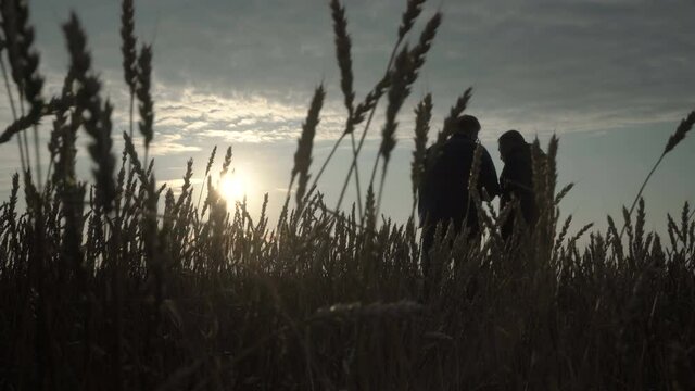 Businessman and agronomist are working in the field against the sunset. The wheat harvest is ripening in the field. Smart agro business.