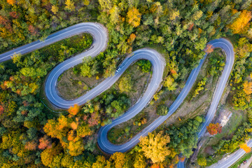 Country road at autumn