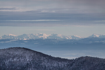 Wide panoramic view of the Swiss Alps from the Vosges mountain range in France during winter covered with snow