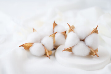 コットンフラワー　綿花