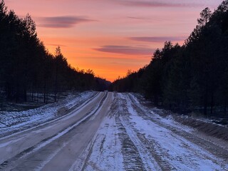 Obraz premium sunset in the forest