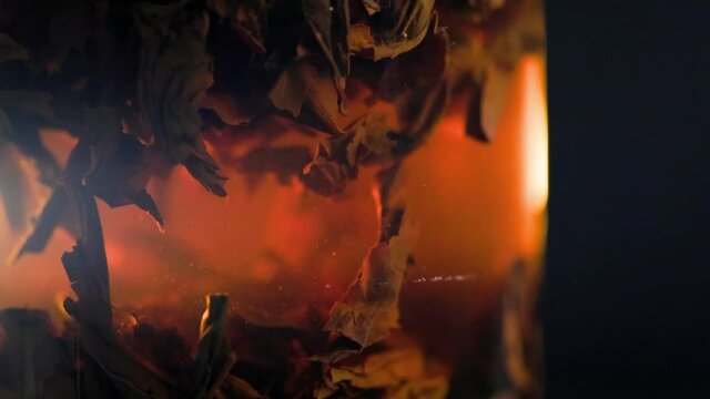 black long-term tea brewed in french-press glass column - close-up