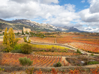 Un camino sinuoso recorre la viña de Samaniego, Rioja Alavesa, Euskadi, España, para llevar el...