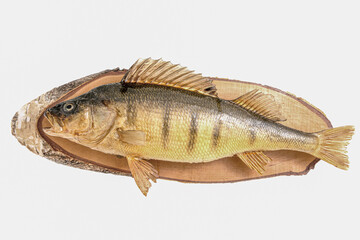 stuffed perch on a wooden board