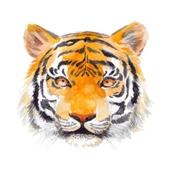 虎の水彩画