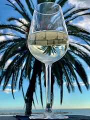 glass of champagne on beach with palm trees