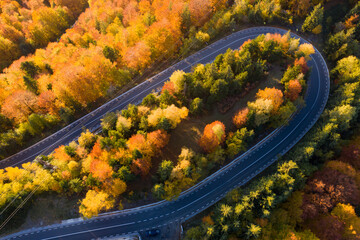 Country road at autumn