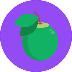 Exotic Fruit Icon.