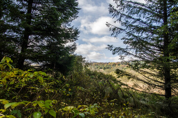 Obraz premium Bieszczadzkie panoramy 