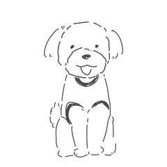 トイプードル おすわり