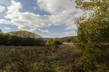 Bieszczadzkie panoramy 