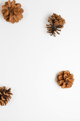 Christmas frame composition. Nature pine cones on white background. Christmas, winter, new year concept. Flat lay, top view