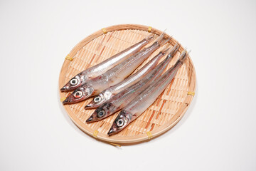 ニギス