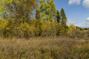 Bieszczadzkie panoramy 