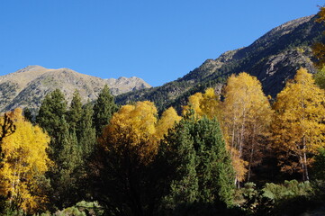 Fototapeta premium Forêt et montagne aux couleurs bucoliques de l'automne dans les Pyrénées