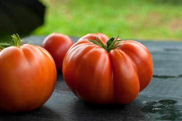 delicious and red tomatoes natural