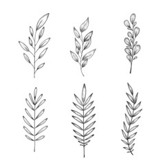 Set Flower graphics illustration icon sketch tattoo print black and white sketch