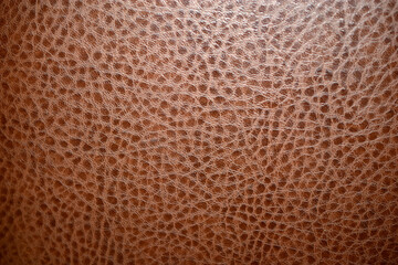 Obraz premium Leather surface of dermantine with a fine brown pattern