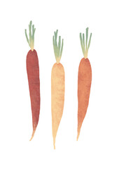 Hand drawn Soft Textured Carrots Isolated on White Background