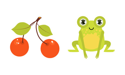 Green Frog and Cherry Berry on Branch Vector Set
