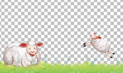 Many sheeps on transparent background