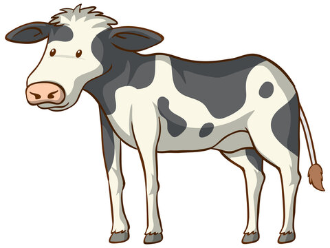 Cow animal cartoon on white background