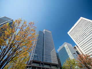 秋晴れの東京駅丸の内の風景