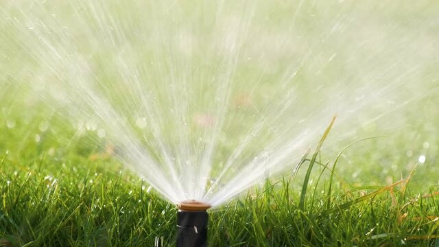 Plastic sprinkler irrigating grass lawn with water in summer garden. Watering green vegetation duging dry season for maintaining it fresh