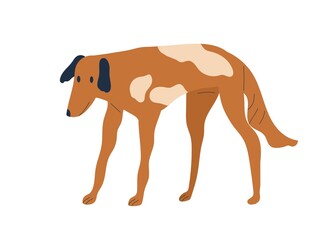 Stray dog standing. Skinny thin canine animal. Spotty flap-eared doggy. Hungry pet. Colored flat vector illustration of bicolor cur isolated on white background