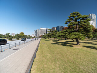 秋の皇居外苑の風景　11月