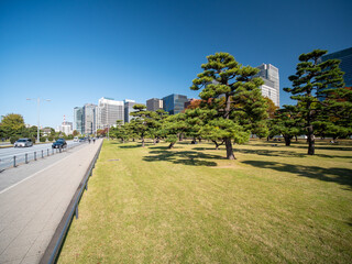 秋の皇居外苑の風景　11月