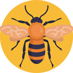 Insects and Bugs Icon.