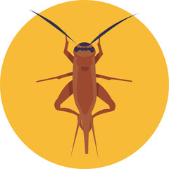 Insects and Bugs Icon.