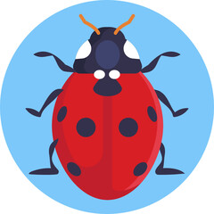 Ladybug. Insects and Bugs Icon.