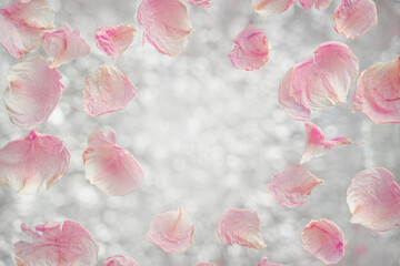 rose petals or peonies on a bokeh background, beautiful light delicate background
