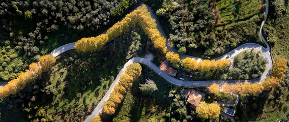 Toscana, Camaiore: videata aerea della via per Montemagno e Lucca in una giornata di autunno - obrazy, fototapety, plakaty
