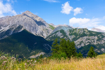 View of top mountains and blue sky with spring grass in foreground. Amazing valley landscape
