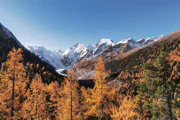 Morteratsch glacier in autumn with Bernina lace in Switzerland